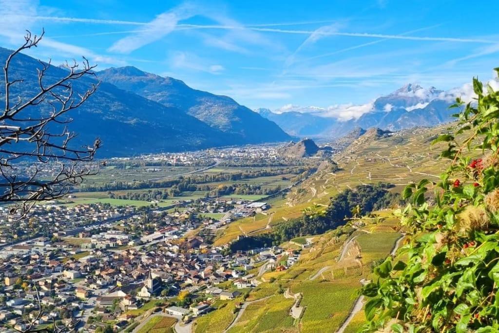 Appartamento Vitis-Au Coeur Du Vignoble Valaisan Saint-Léonard Esterno foto