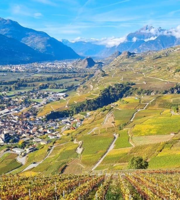 Appartamento Vitis-Au Coeur Du Vignoble Valaisan Saint-Léonard Esterno foto